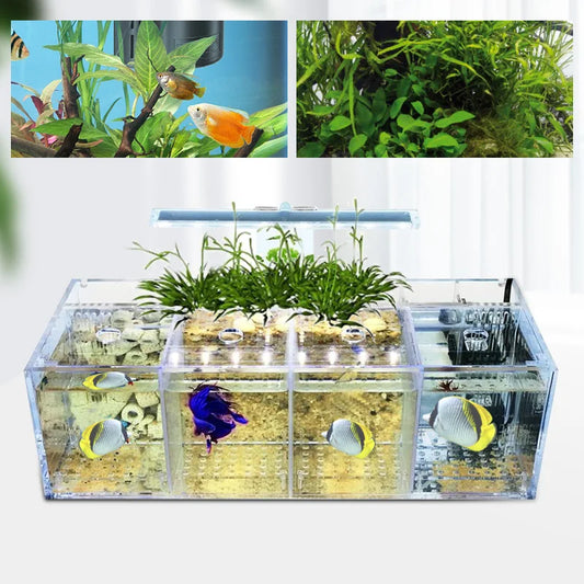 4 Grid Acrylic Fish Tank with LED Light 2.5W Low Power IPX8 Waterproof Tabletop Aquarium for Fighting Fish Shrimp and More